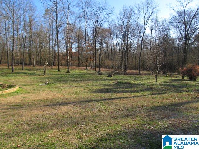 490 Holland Road Horton, AL 35980 - Photo 13 of 21