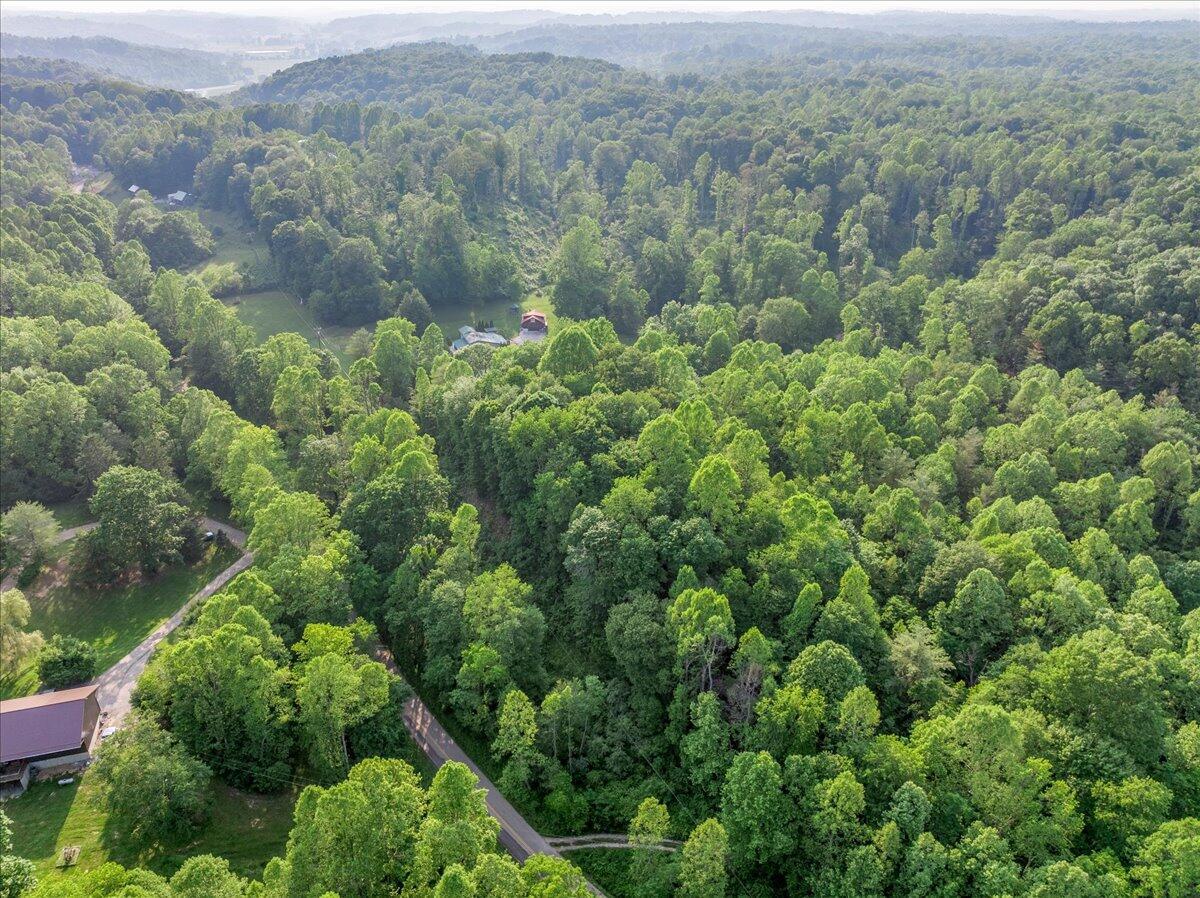 37000 Kingsbury Road Pomeroy, OH 45769 - Photo 63 of 69 drone view of lush woods