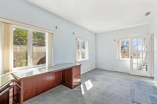 a view of a garden with plants