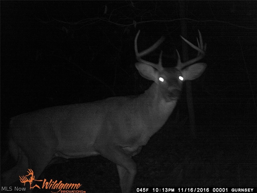 Clary Road Kimbolton, OH 43749 - Photo 24 of 29