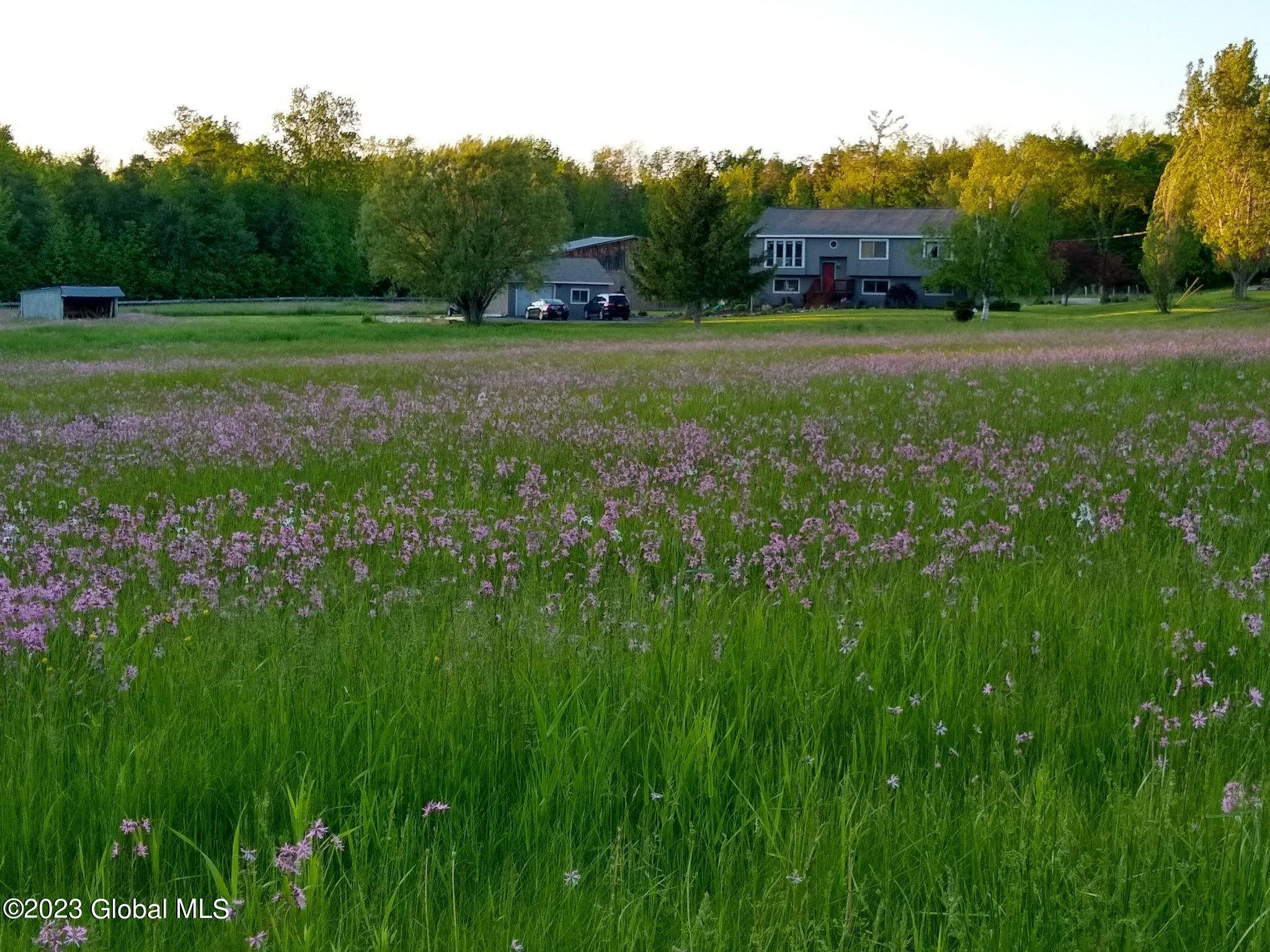 443 Snyder Road Cobleskill, NY 12043 - Photo 2 of 18 Summer from road