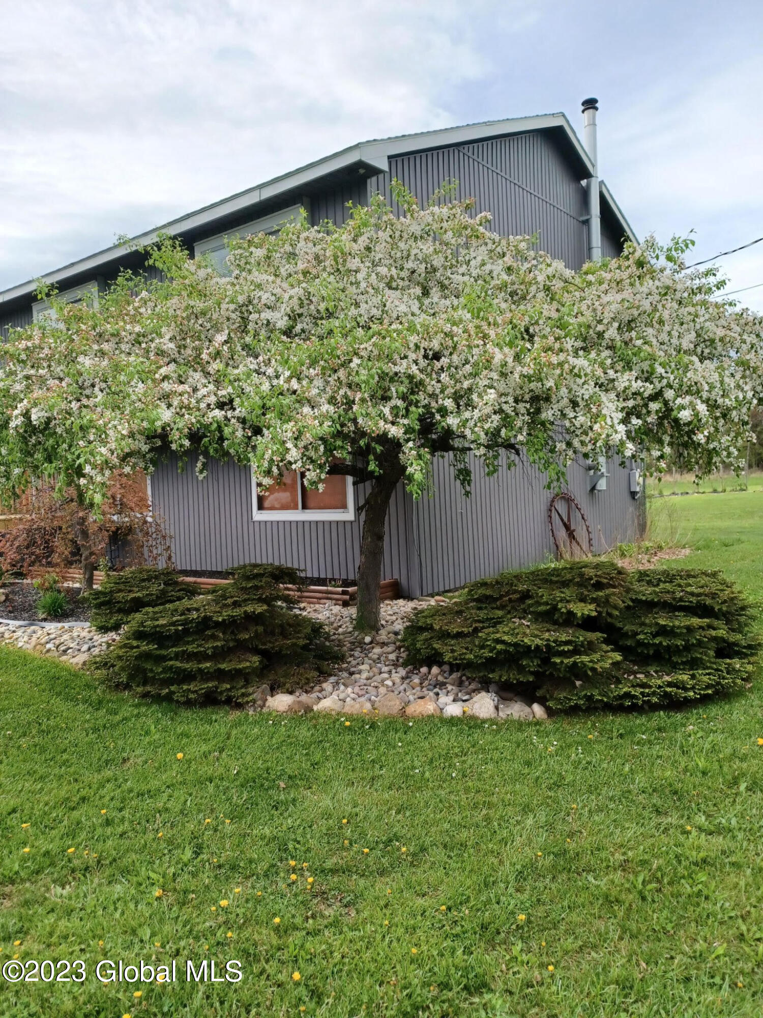 443 Snyder Road Cobleskill, NY 12043 - Photo 3 of 18 Landscape