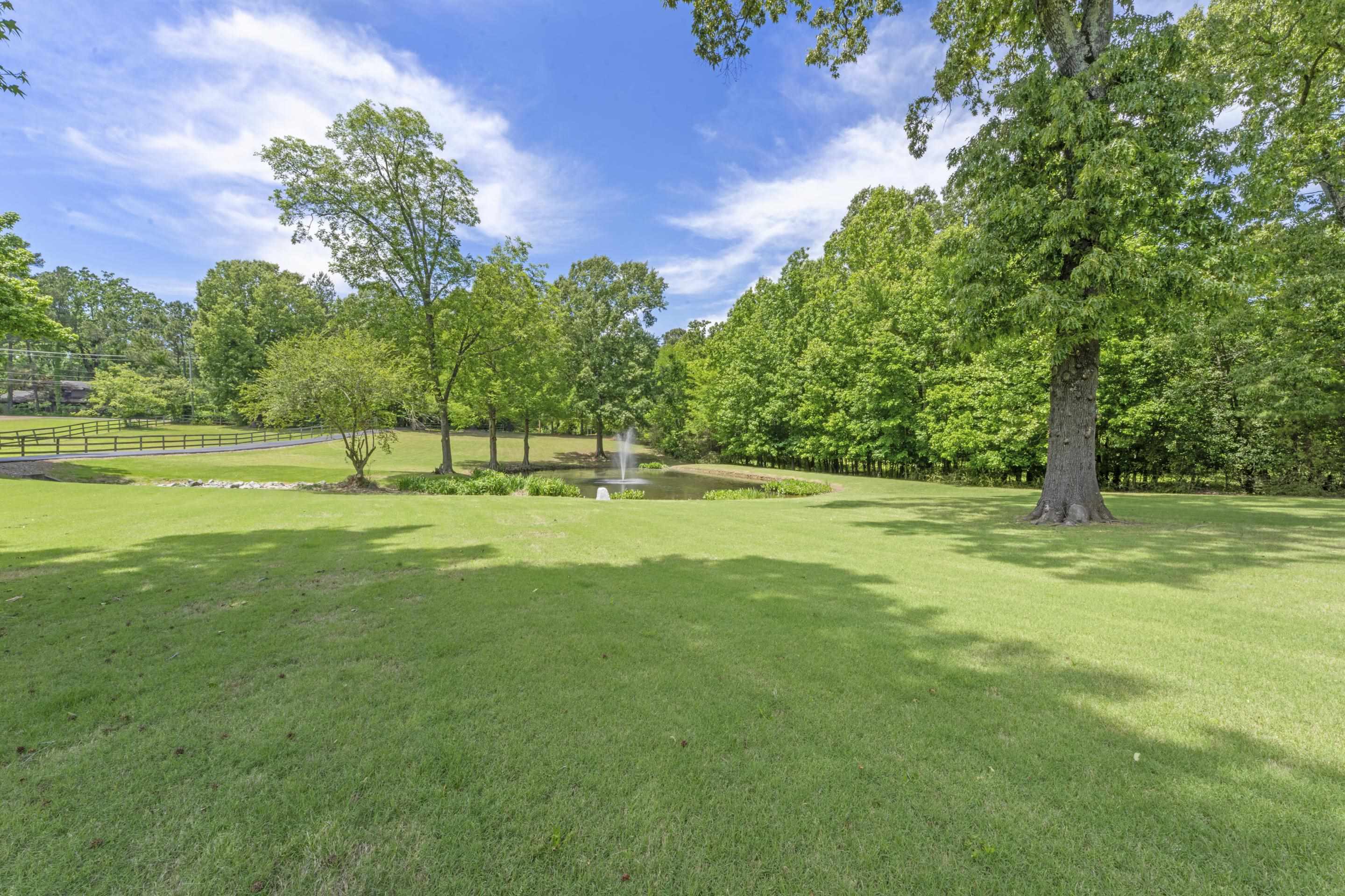 4250 Oak Road Bartlett, TN 38135 - Photo 6 of 39