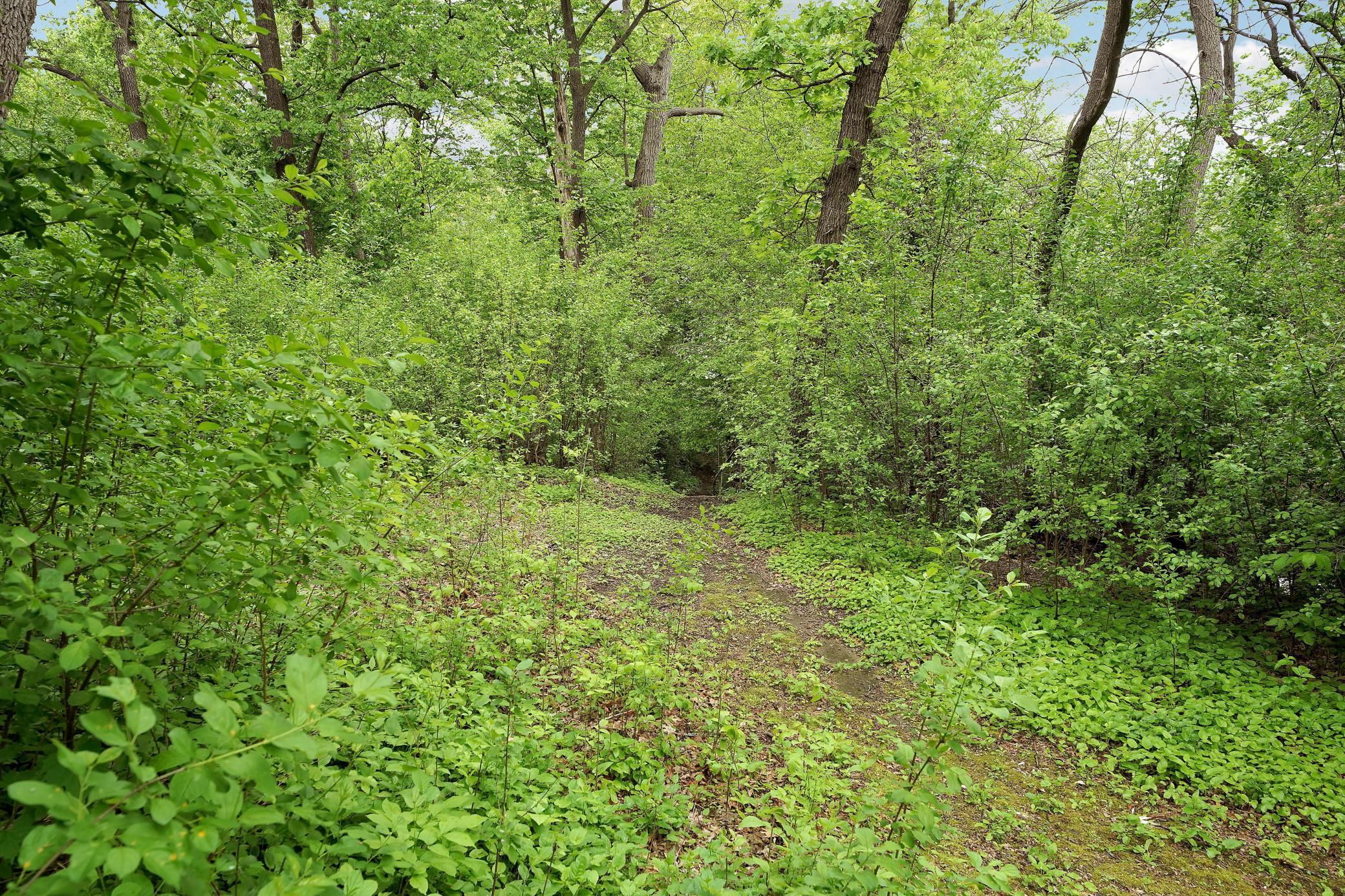 4936 Shady Oak Road Minnetonka, MN 55343 - Photo 13 of 16