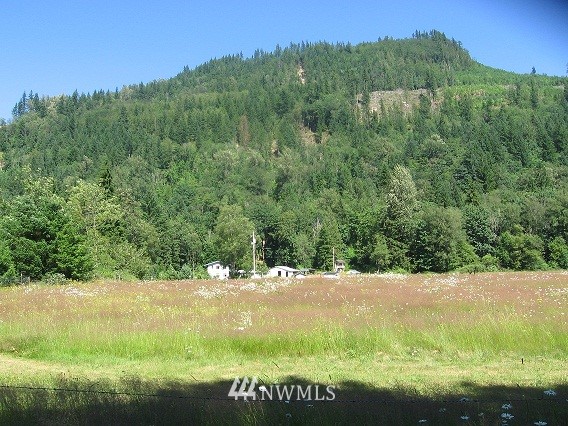 6104 North Fork Road Deming, WA 98244 - Photo 1 of 1