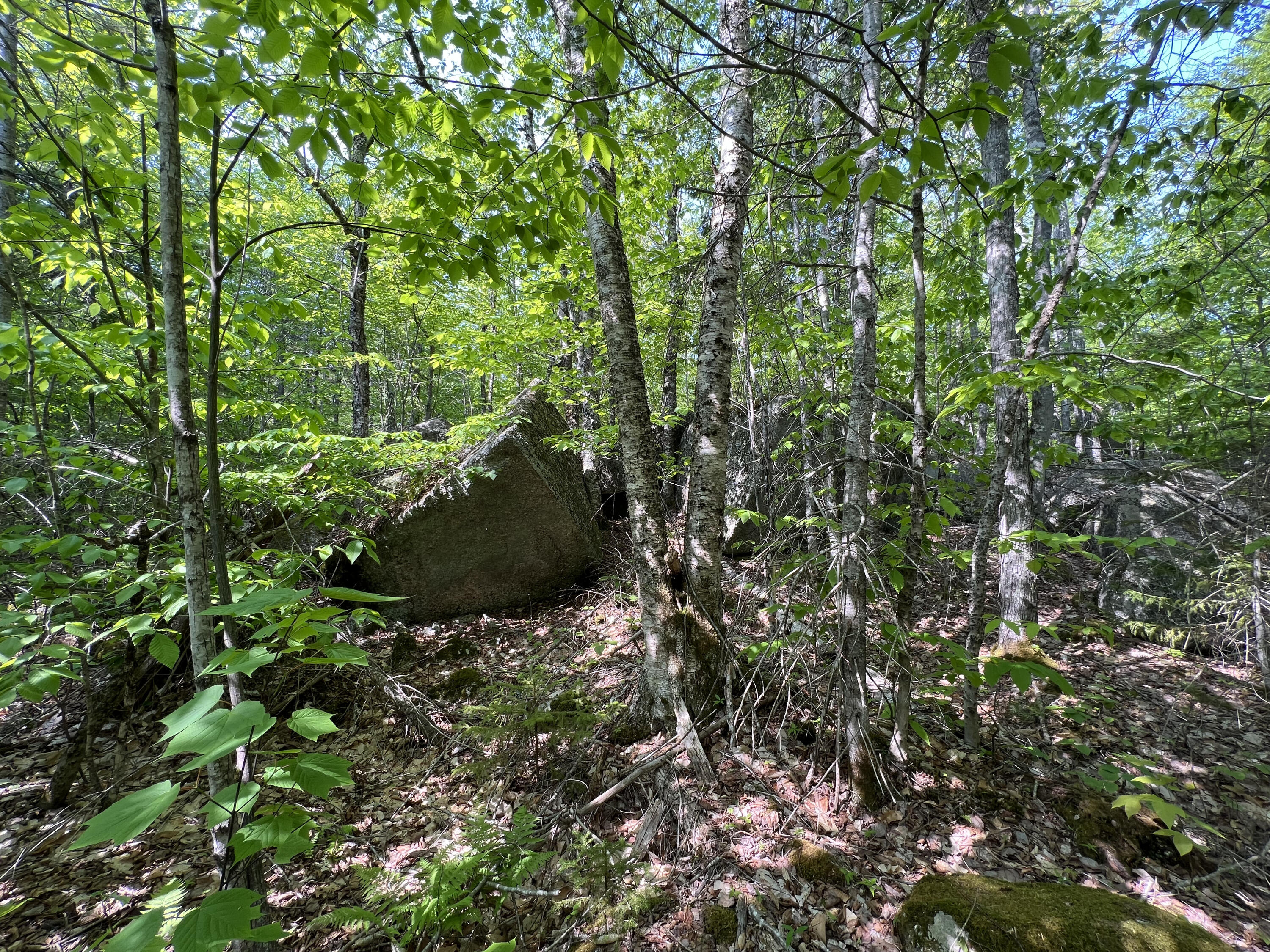 30 Winkumpaugh Road Ellsworth, ME 04605 - Photo 10 of 11 IMG_9474