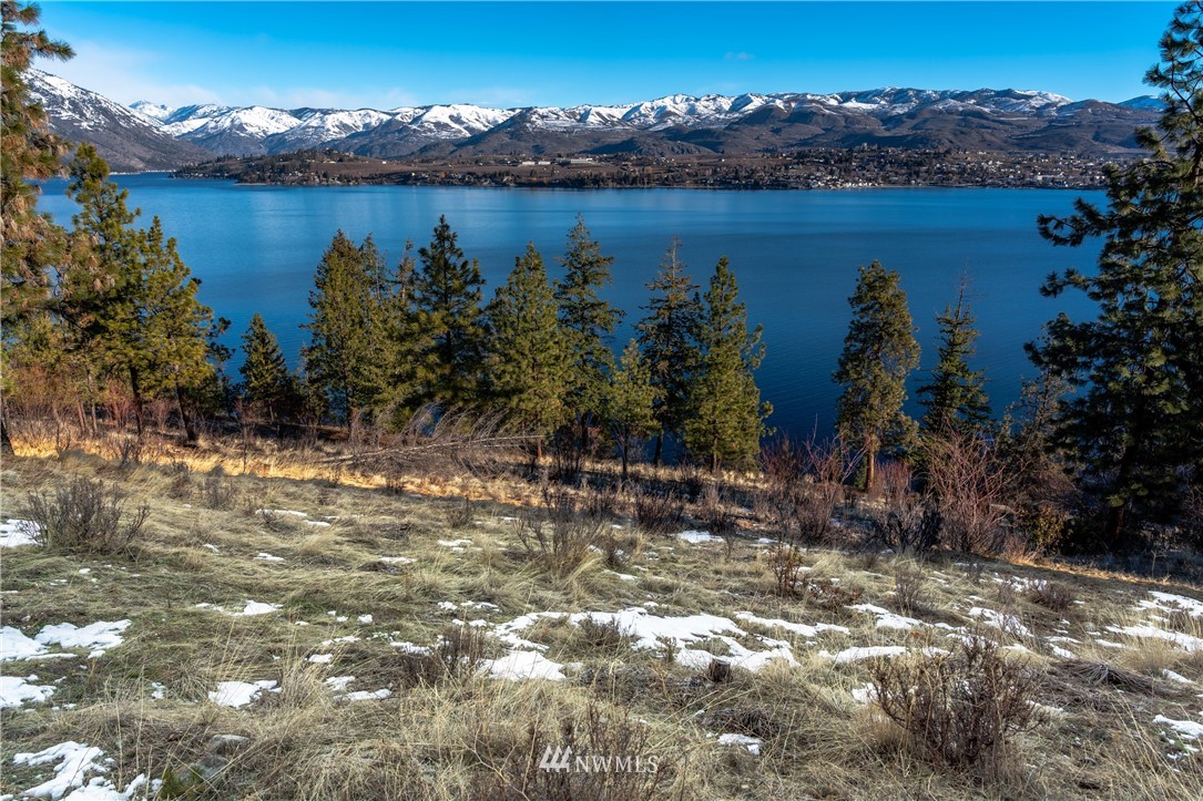 7374 Ridgeview Drive Chelan, WA 98816 - Photo 11 of 37 Gallery Image 11