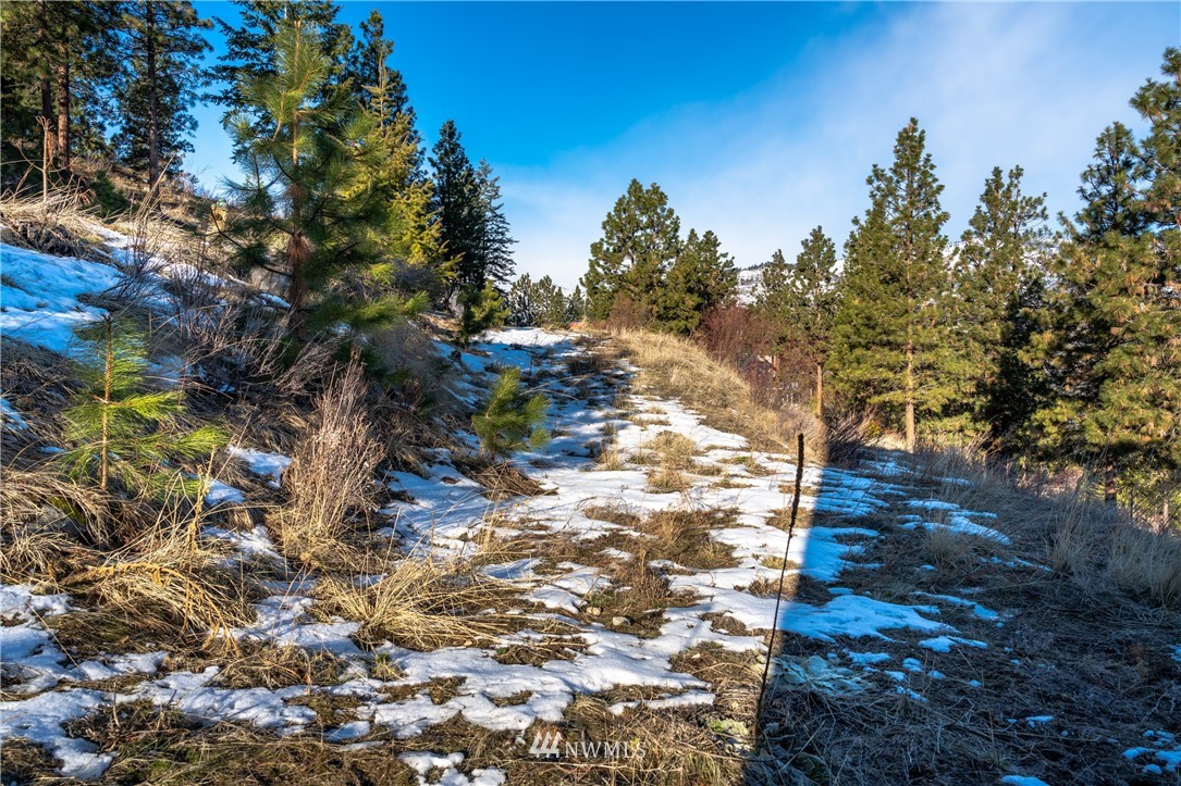 7374 Ridgeview Drive Chelan, WA 98816 - Photo 12 of 37 Gallery Image 12