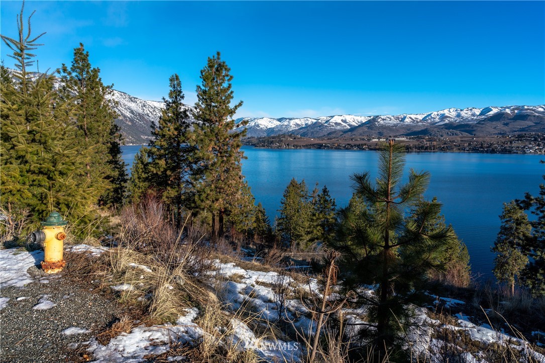 7374 Ridgeview Drive Chelan, WA 98816 - Photo 14 of 37 Gallery Image 14