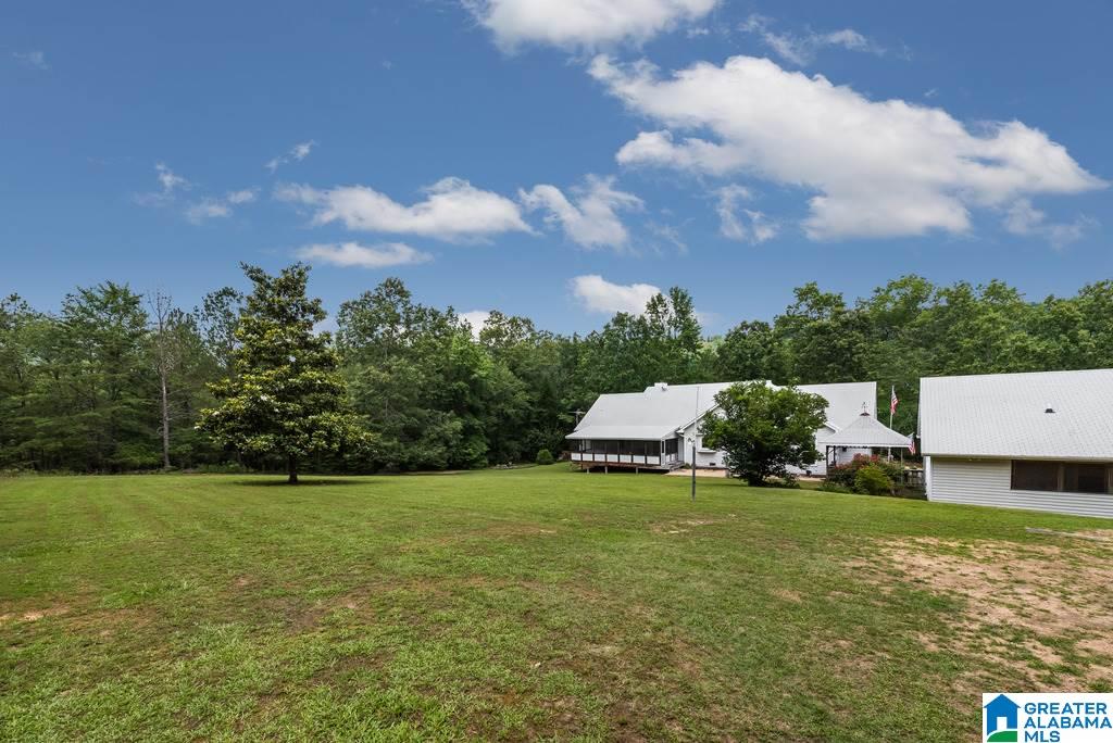 265 Canoe Creek Road Springville, AL 35146 - Photo 9 of 25