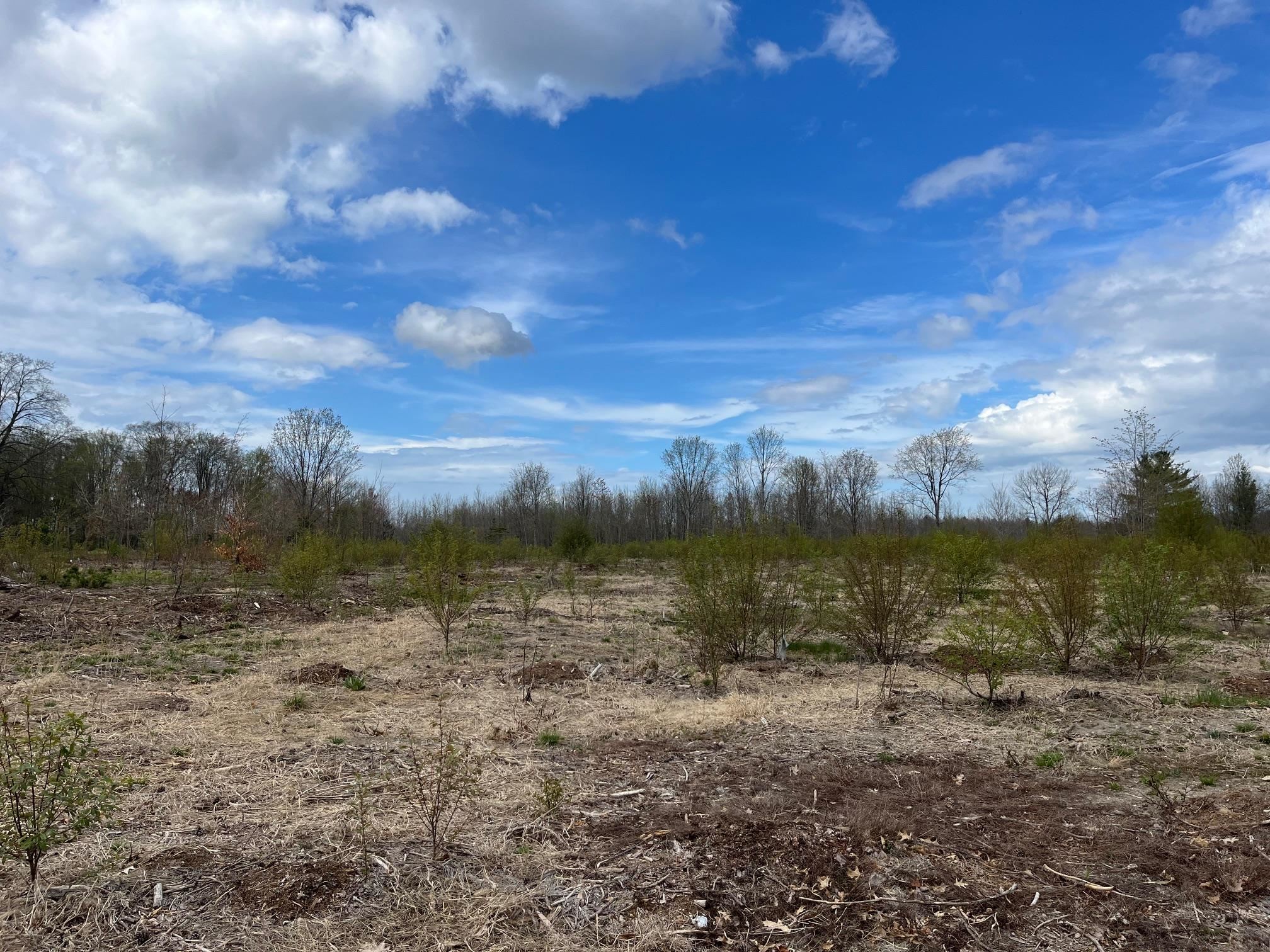 Carmean Road Interlochen, MI 49643 - Photo 16 of 16