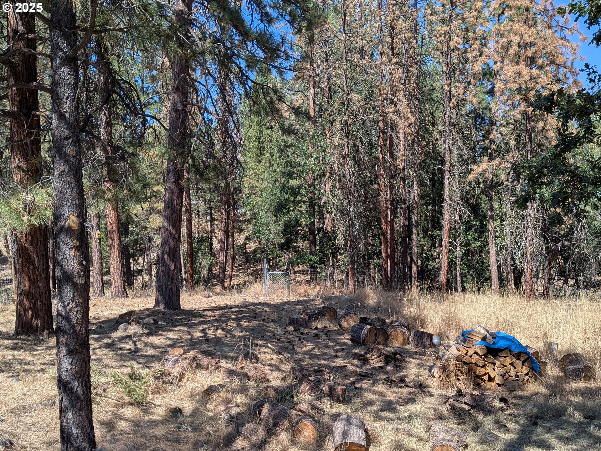 266 South Dea Road Tygh Valley, OR 97063 - Photo 6 of 12