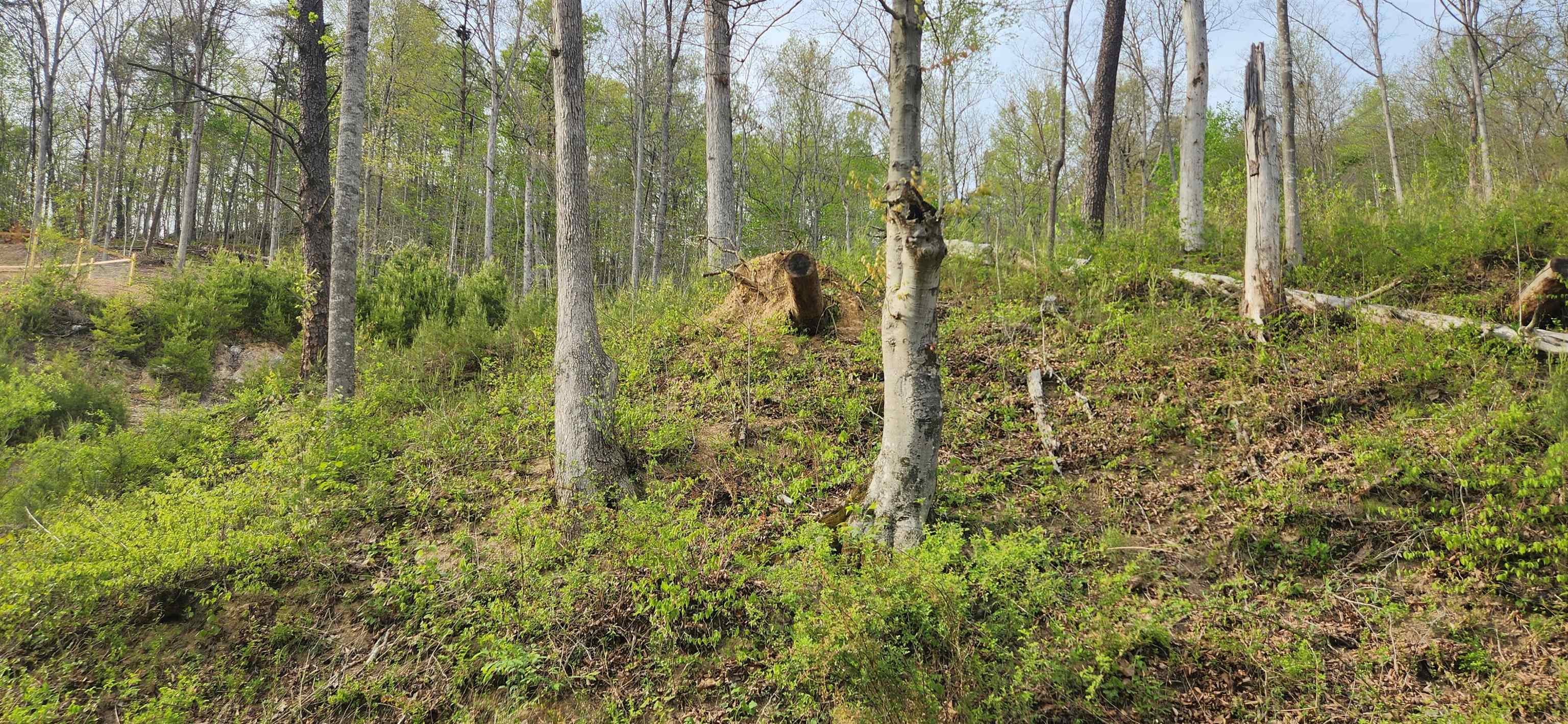 Stinson Creek Road Grayson, KY 41143 - Photo 14 of 14