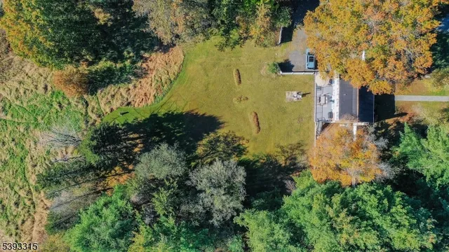 a view of a trees with a big yard