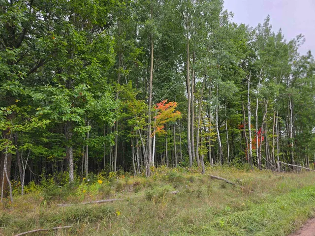 $28,000 | Xxxx Pioneer Road, Barnum, MN 55707