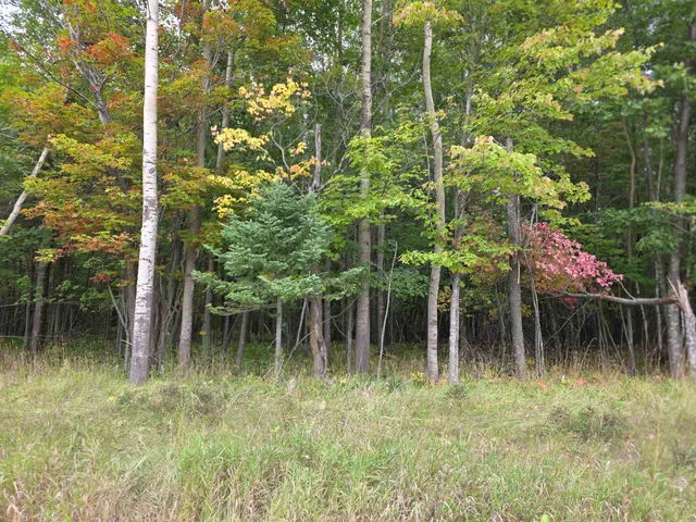 $28,000 | Xxxx Pioneer Road, Barnum, MN 55707