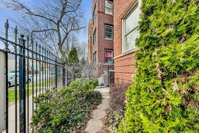a view of a pathway in a garden
