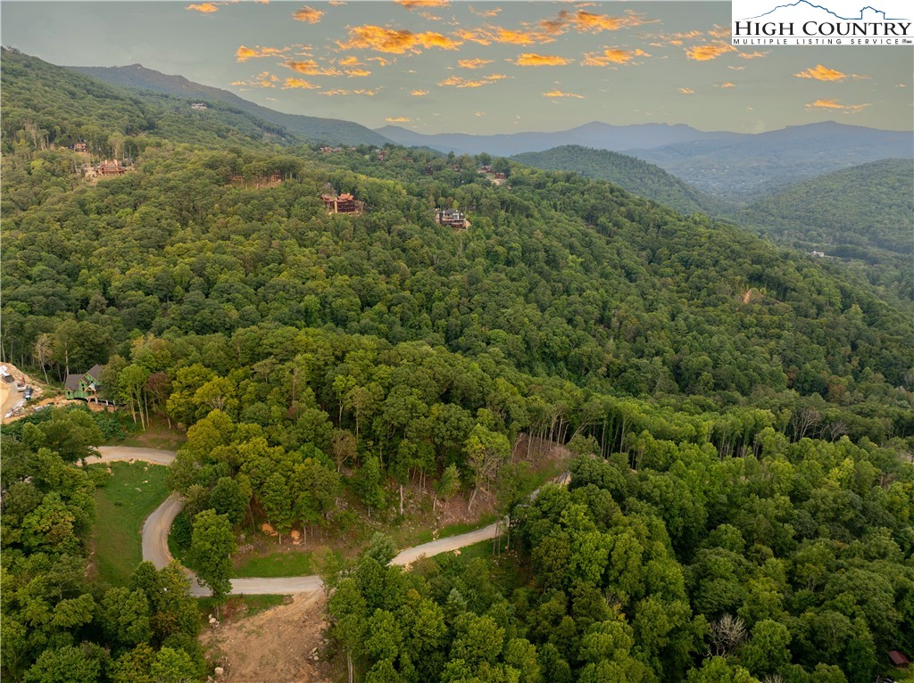 C120 Springwater Lane Banner Elk, NC 28604 - Photo 11 of 13