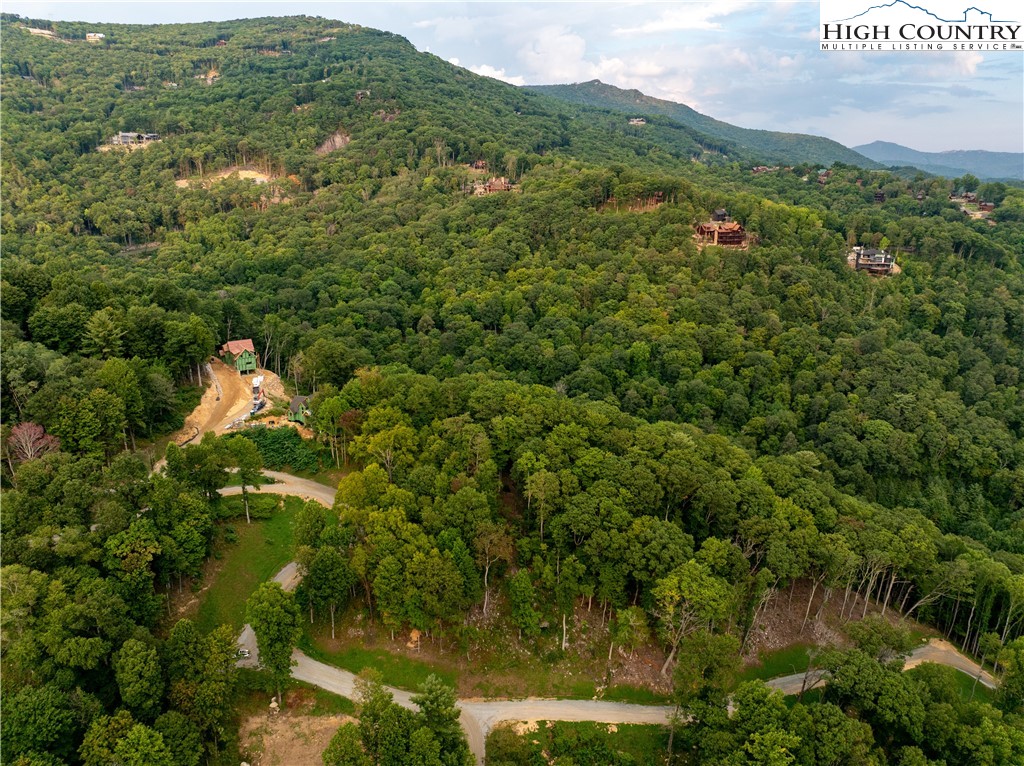 C120 Springwater Lane Banner Elk, NC 28604 - Photo 12 of 13