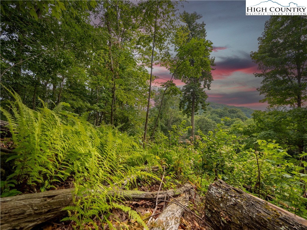 C120 Springwater Lane Banner Elk, NC 28604 - Photo 2 of 13