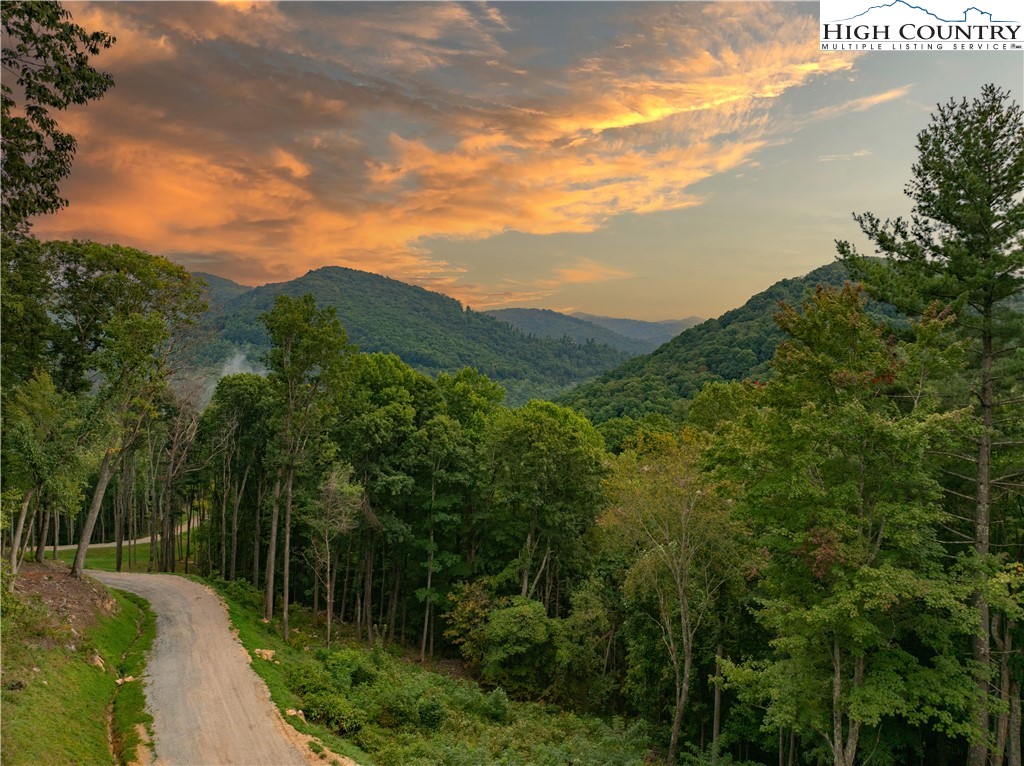 C120 Springwater Lane Banner Elk, NC 28604 - Photo 3 of 13