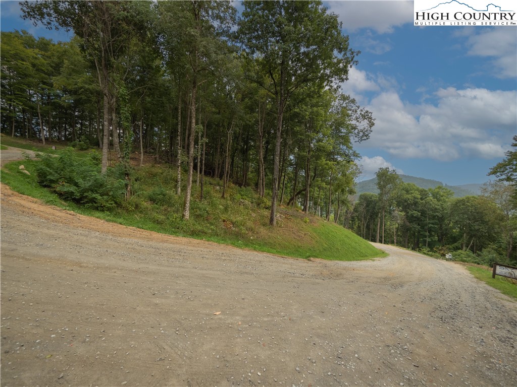 C120 Springwater Lane Banner Elk, NC 28604 - Photo 4 of 13