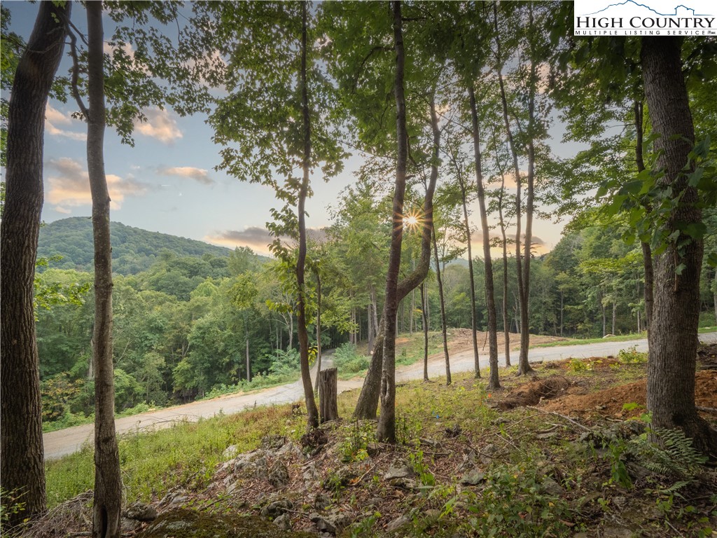 C120 Springwater Lane Banner Elk, NC 28604 - Photo 6 of 13