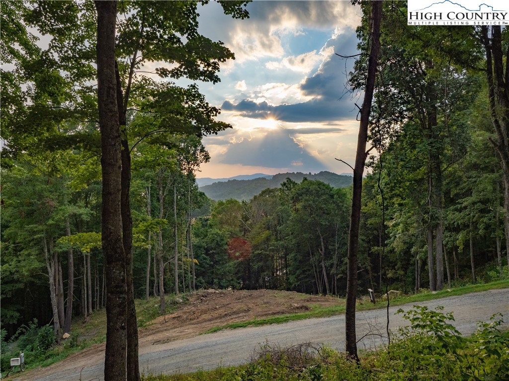 C120 Springwater Lane Banner Elk, NC 28604 - Photo 7 of 13