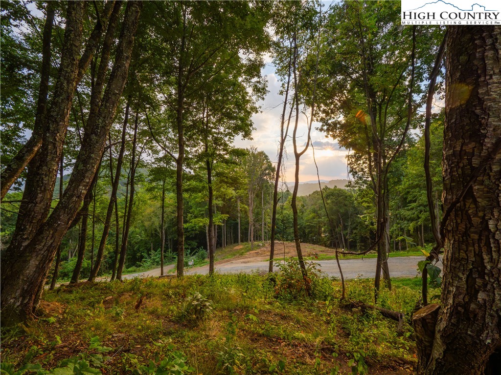 C120 Springwater Lane Banner Elk, NC 28604 - Photo 8 of 13