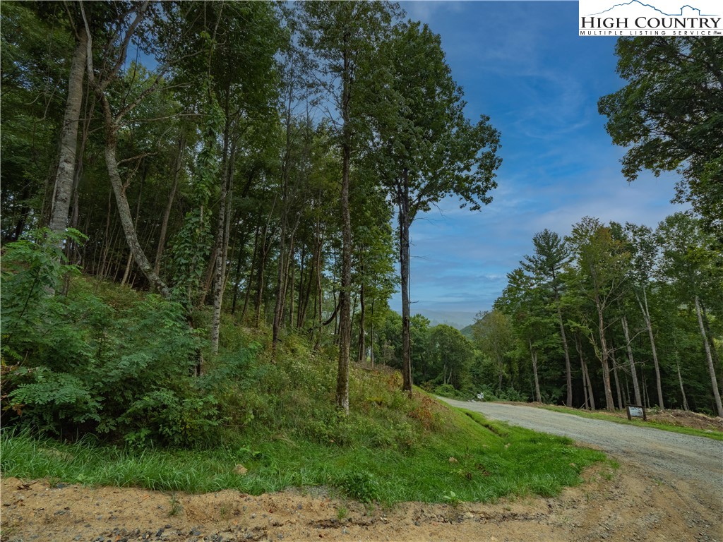 C120 Springwater Lane Banner Elk, NC 28604 - Photo 9 of 13