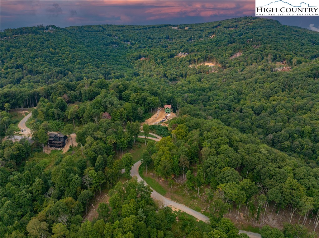 C120 Springwater Lane Banner Elk, NC 28604 - Photo 10 of 13