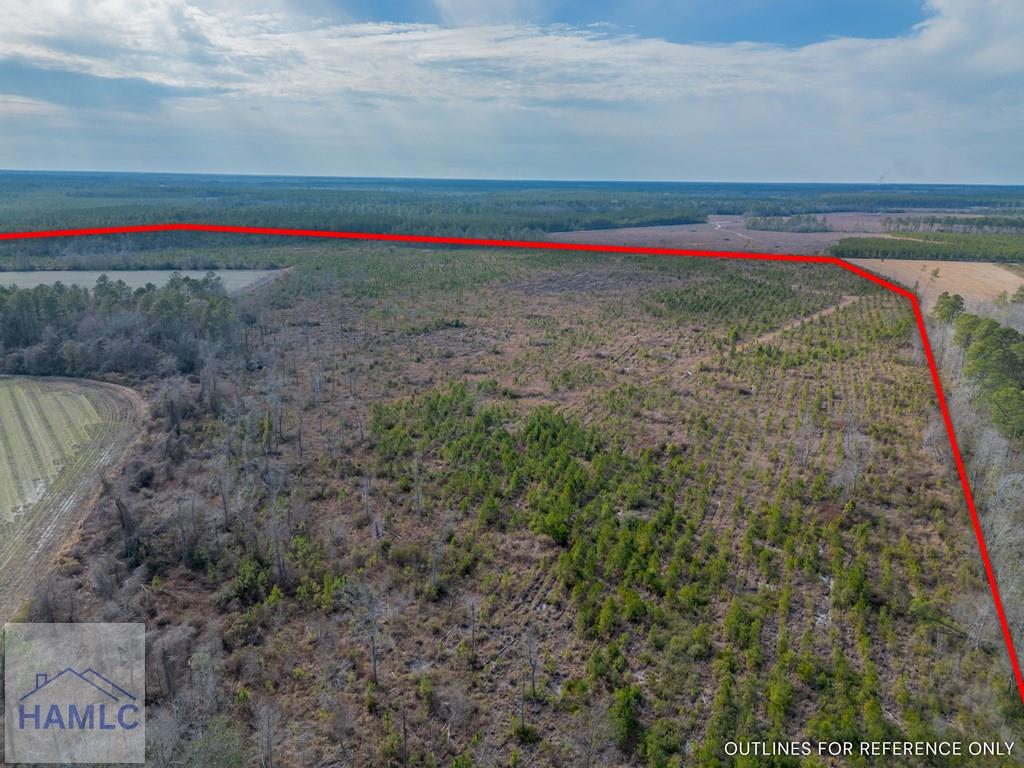 3 Reddish Road Screven, GA 31560 - Photo 11 of 55 Gallery Image 11
