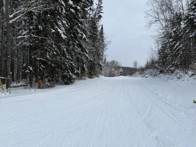 $11,900 | M25-l33 Pelletier Road, Madawaska, ME 04756