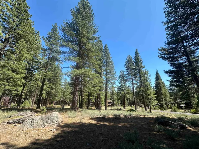 a view of road with trees