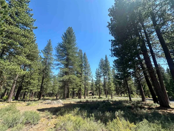 a view of lake with trees