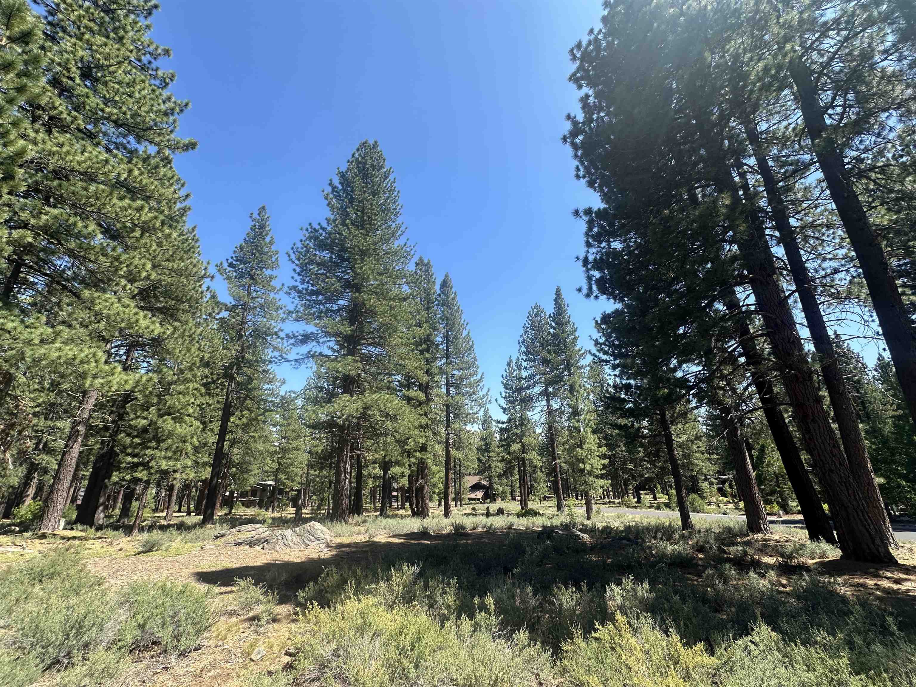 11651 Bottcher Loop Truckee, CA 96161 - Photo 3 of 6 a view of lake with trees