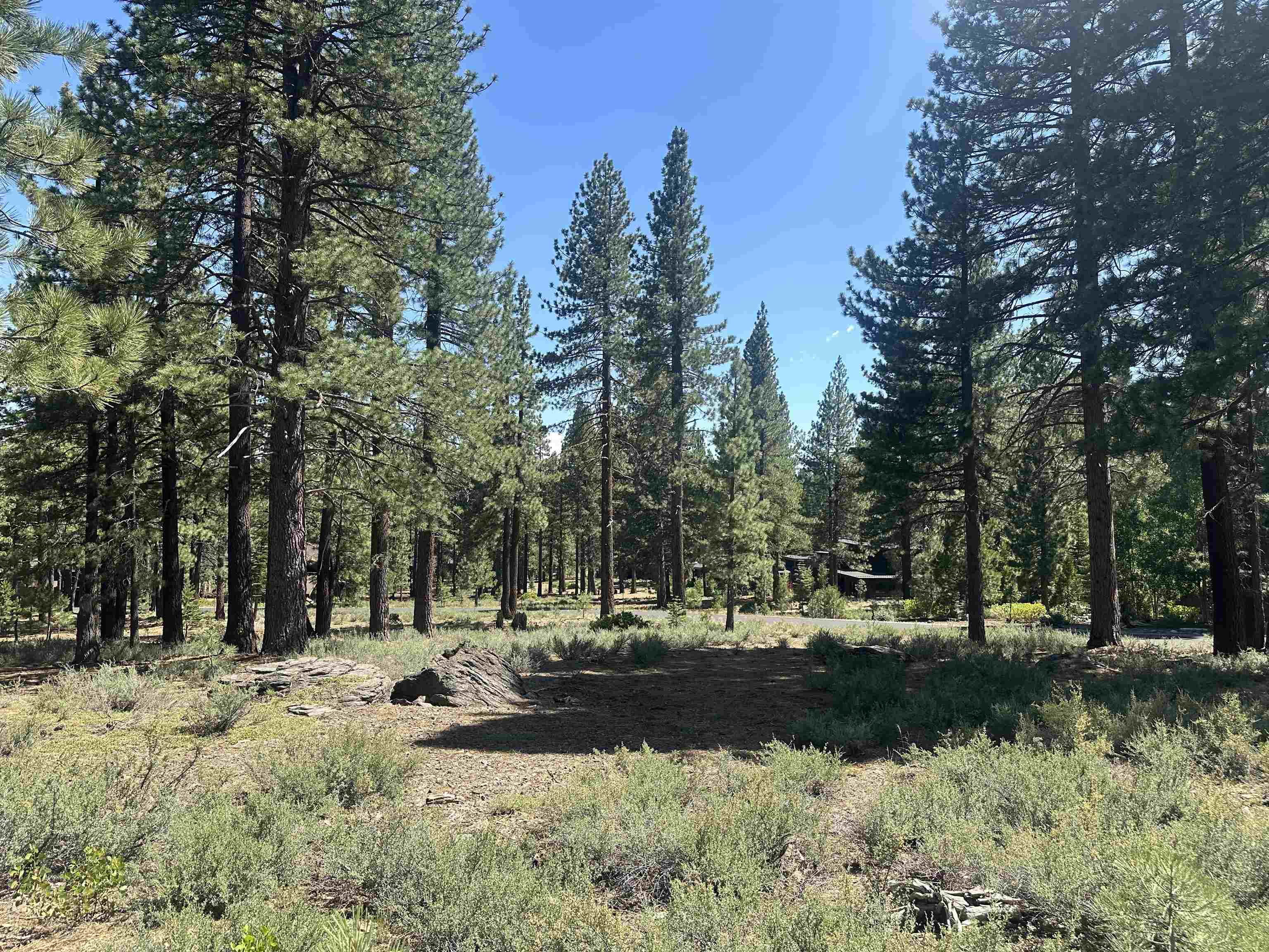 11651 Bottcher Loop Truckee, CA 96161 - Photo 4 of 6 a view of outdoor space with green space