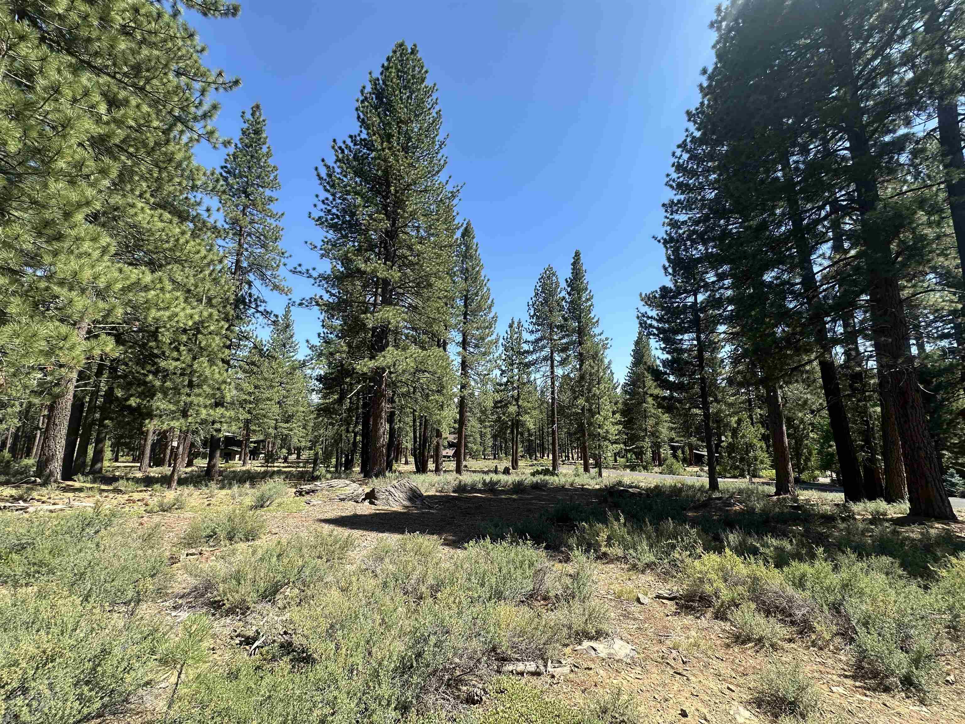 11651 Bottcher Loop Truckee, CA 96161 - Photo 5 of 6 a view of lake view