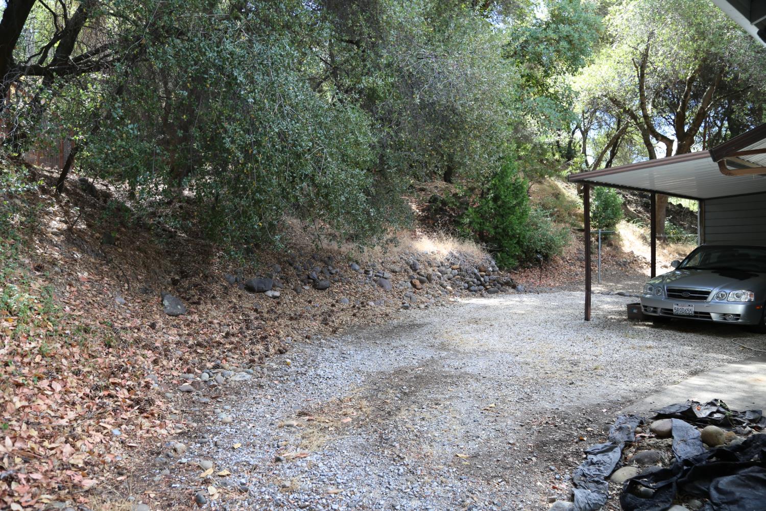 3405 Big Cut Road Placerville, CA 95667 - Photo 14 of 46