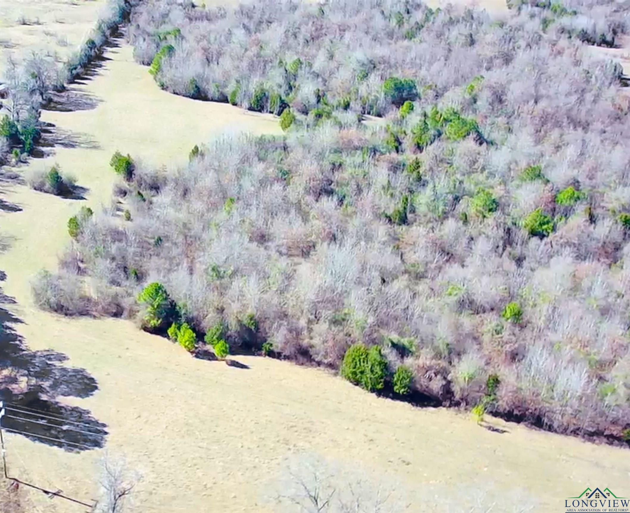 Tbd Patton Settlement Road Diana, TX 75640 - Photo 1 of 1 Gallery Image 1