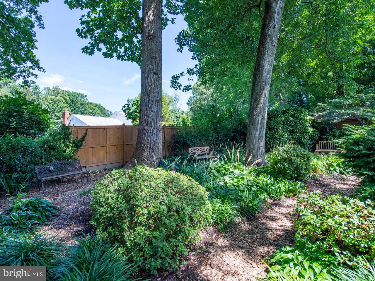 5223 Ravensworth Road Springfield, VA 22151 - Photo 24 of 31 Garden