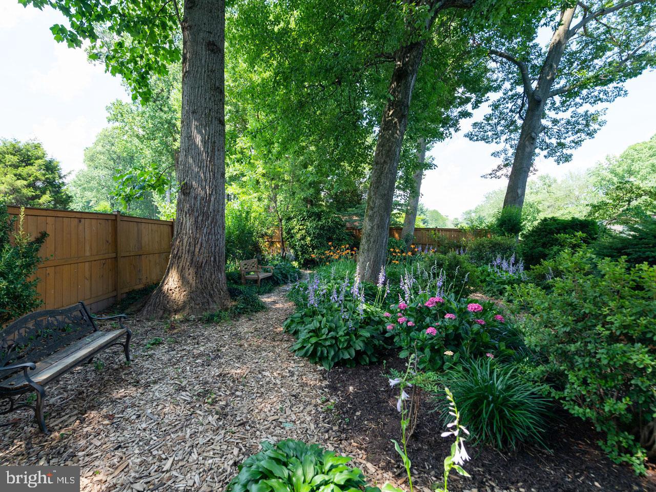 5223 Ravensworth Road Springfield, VA 22151 - Photo 27 of 31 Garden