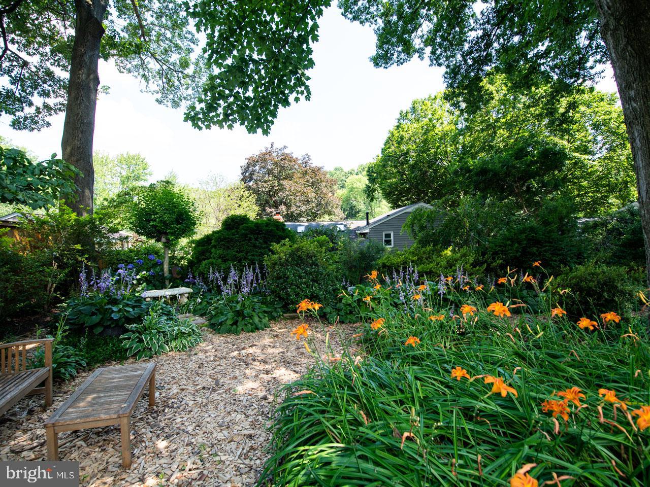 5223 Ravensworth Road Springfield, VA 22151 - Photo 28 of 31 Garden