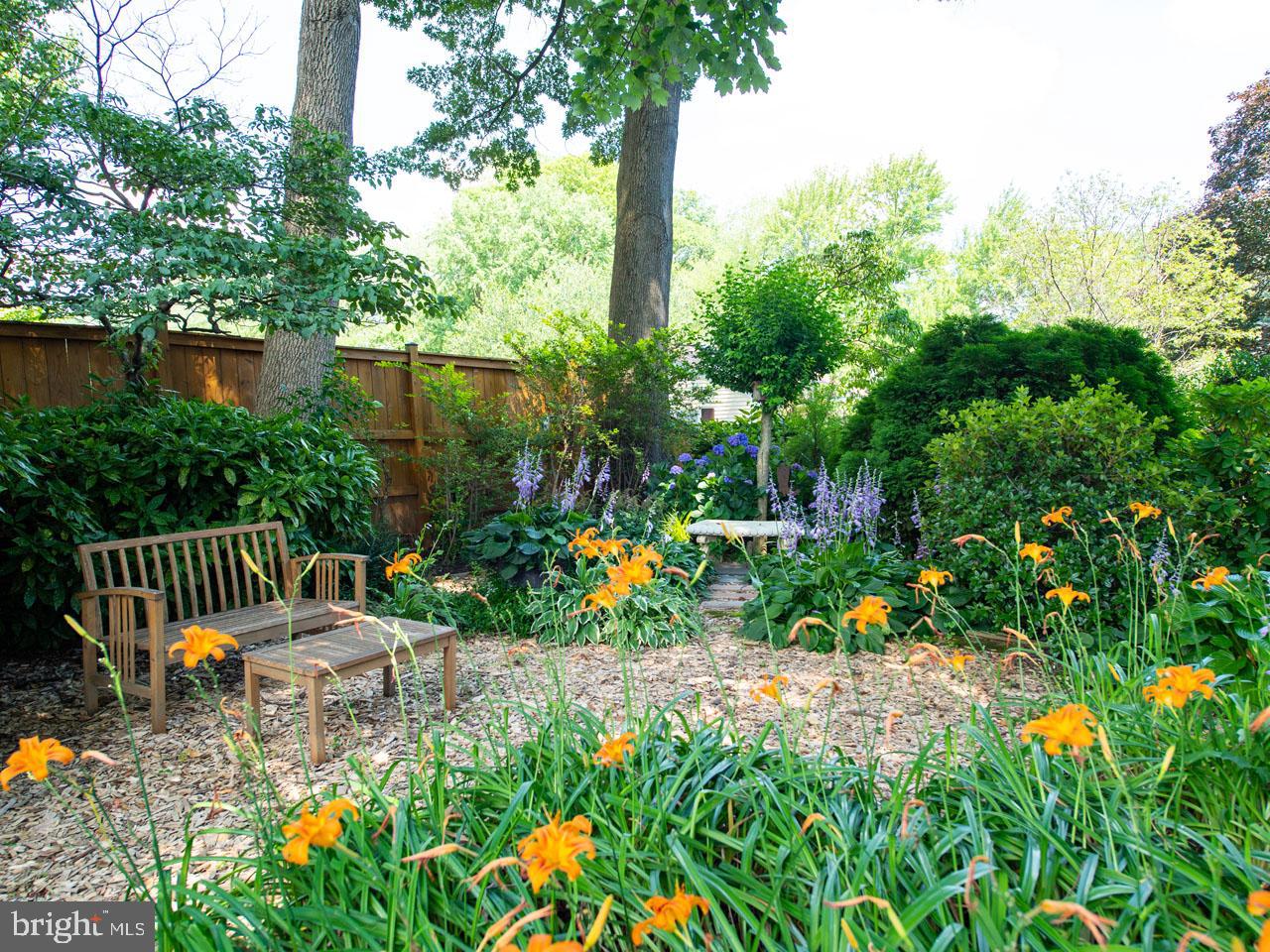 5223 Ravensworth Road Springfield, VA 22151 - Photo 29 of 31 Garden