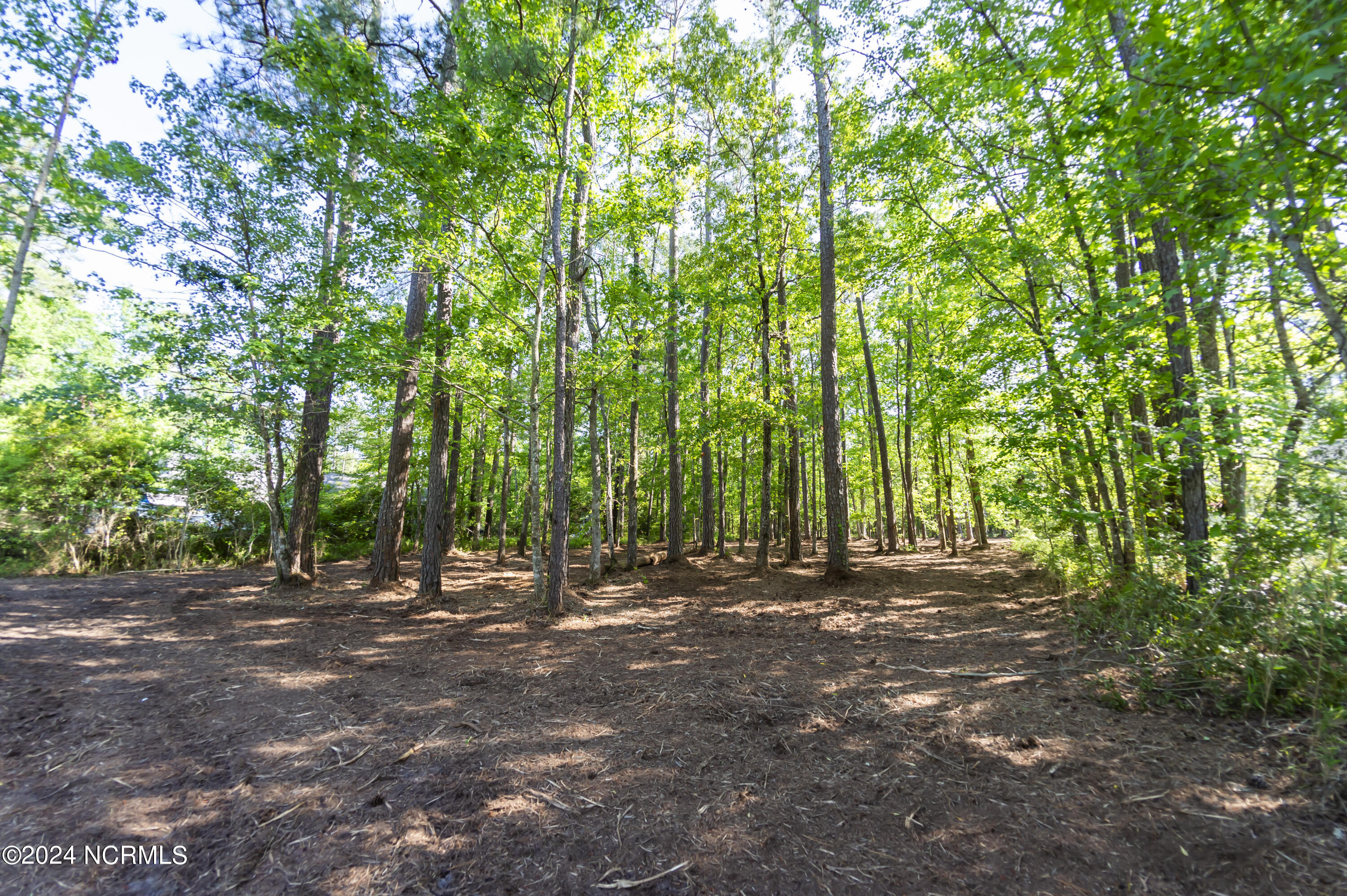 109 Spinnaker Point Road North Oriental, NC 28571 - Photo 7 of 18 Beautifully Wooded & Well Drained