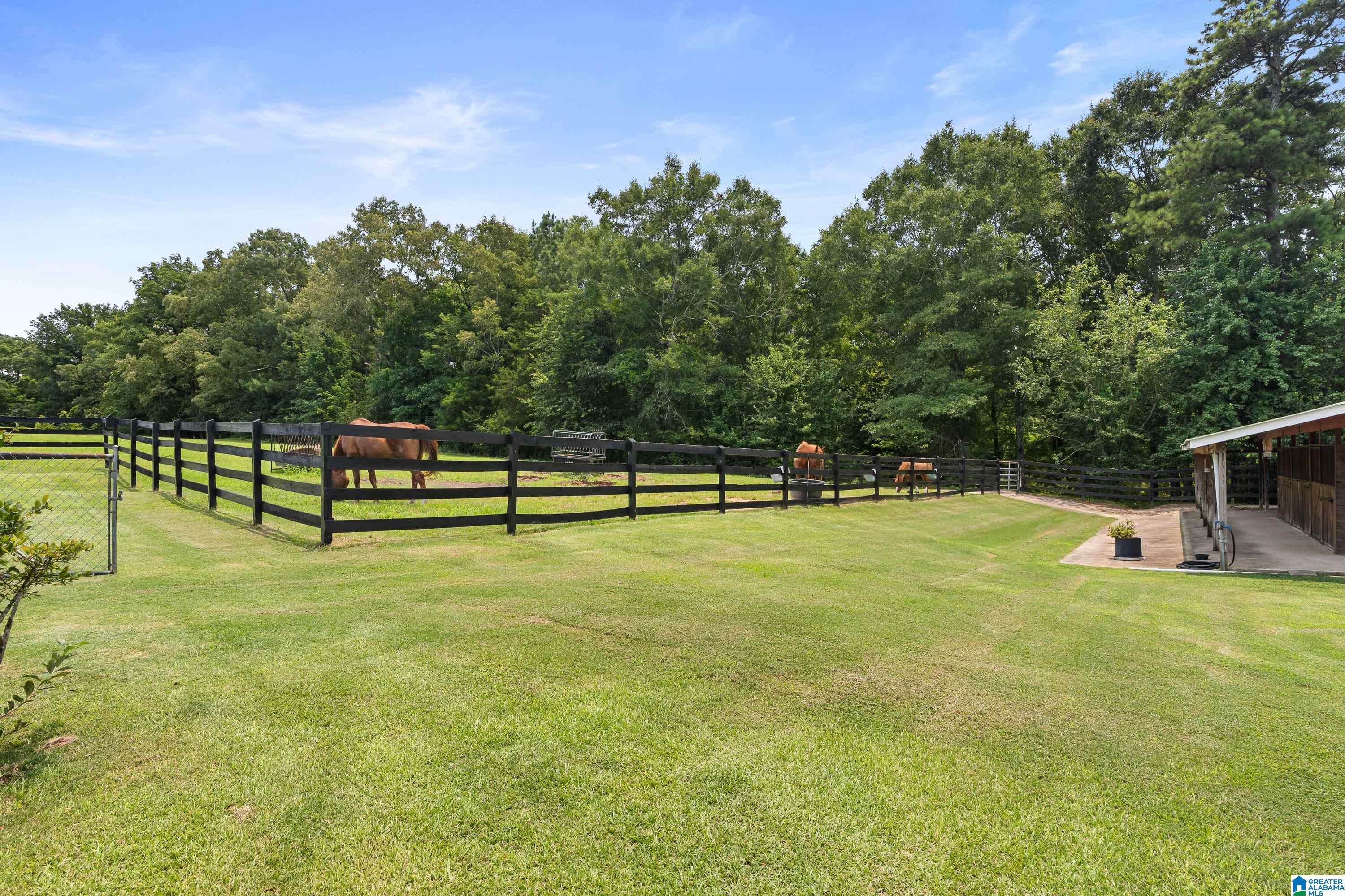 2304 Driving Range Road Cropwell, AL 35054 - Photo 43 of 59