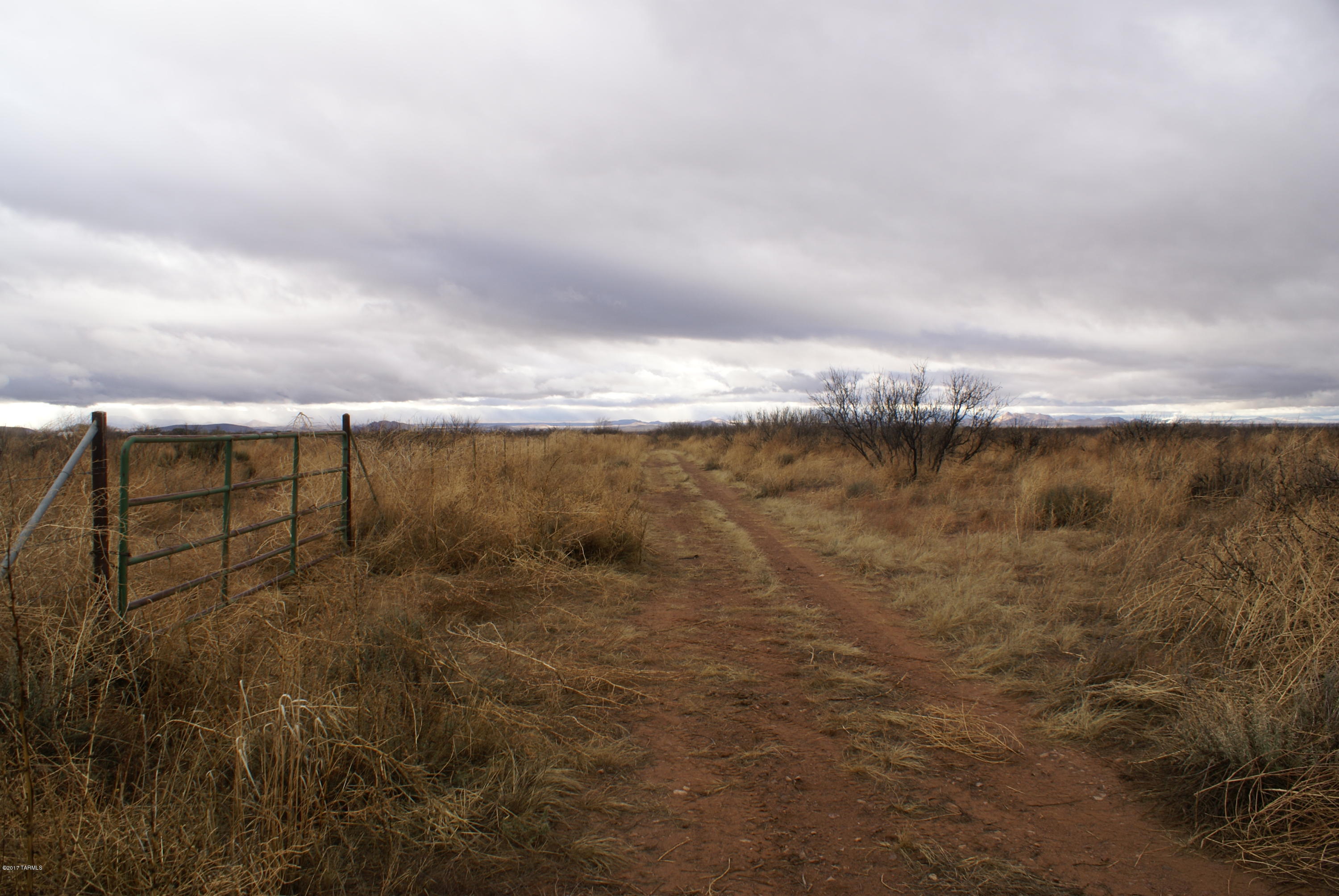 18.8 South Price Ranch Road Pearce, AZ 85625 - Photo 20 of 20