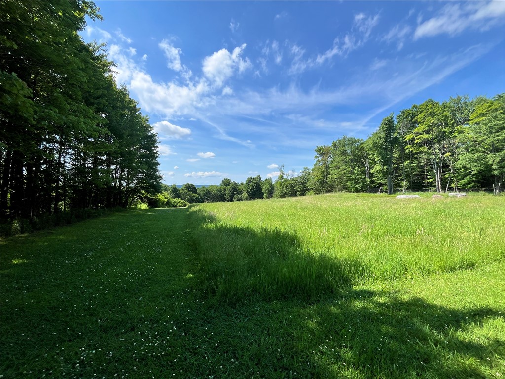882 Alma Hill Road Alma, NY 14708 - Photo 35 of 46