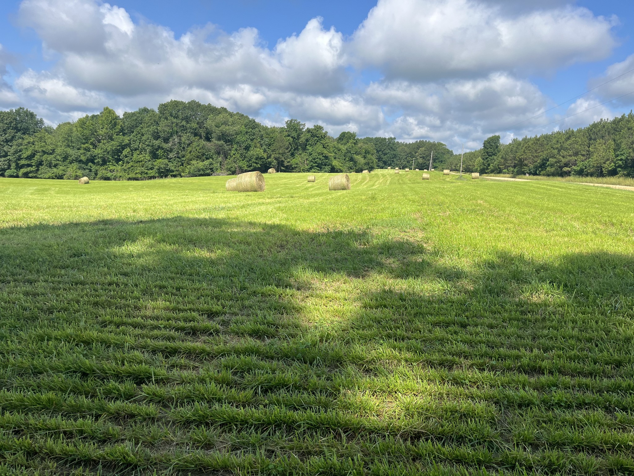 0 Johnson Road Lutts, TN 38471 - Photo 53 of 68 Gallery Image 53