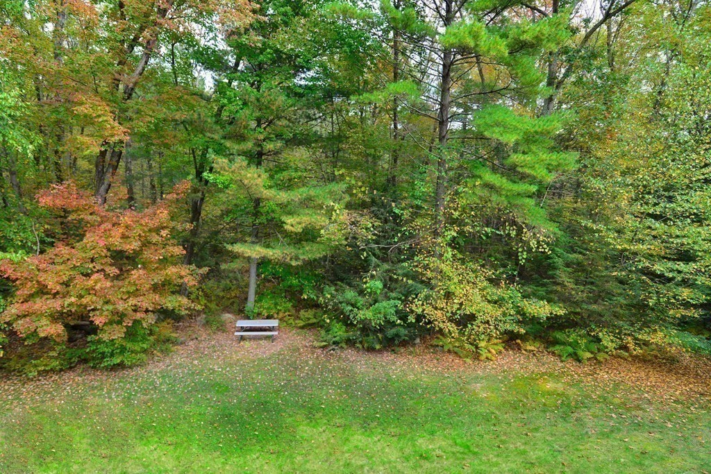9 May Brook Road, Unit 9 Holland, MA 01521 - Photo 41 of 42 a view of a garden with a tree